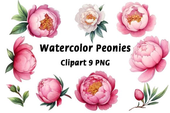 Watercolor Peonies Flowers Clipart: A Designer's Floral Toolkit